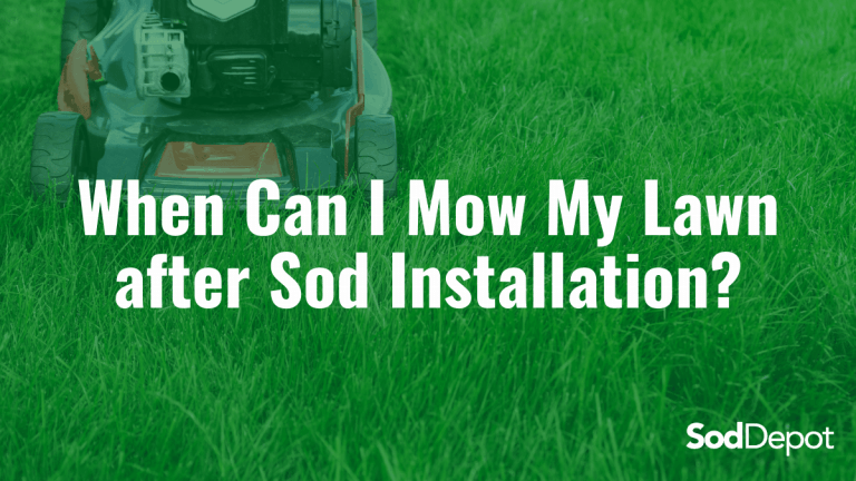 When Can I Mow My Lawn after Sod Installation?