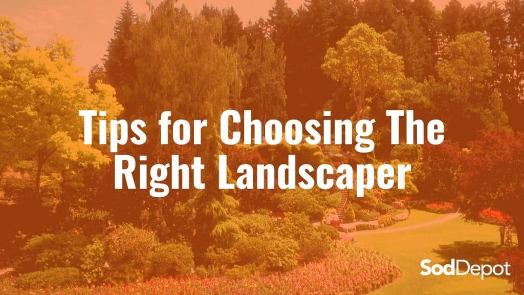 A picture of some trees and bushes with the words " tips for choosing the right landscaper ".
