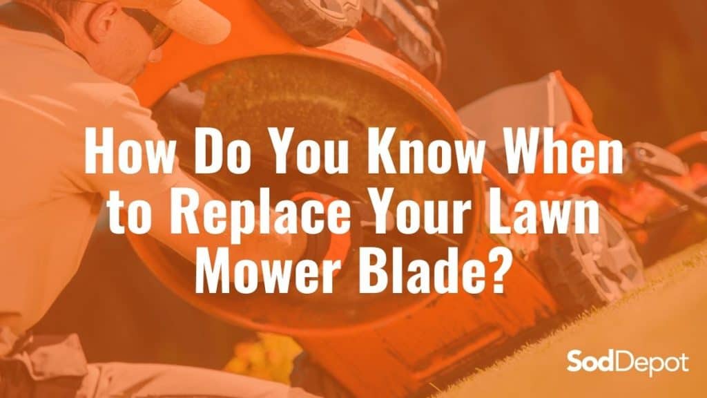 A picture of an orange lawn mower blade.