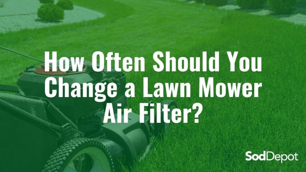 A lawn mower with the words " how often should you change a lawn mower air filter ?" on it.