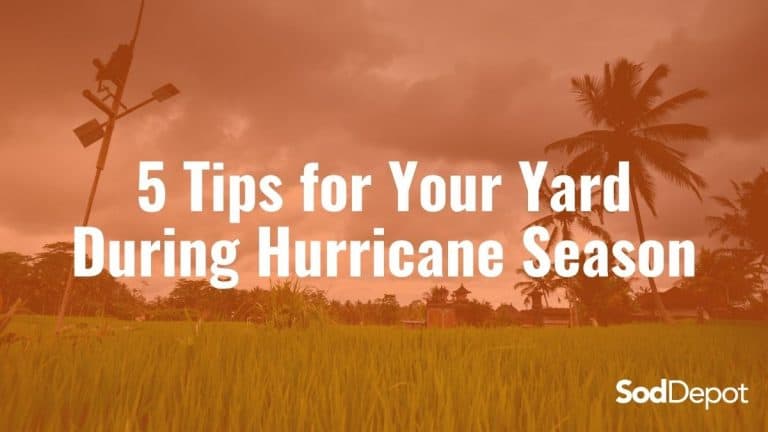 5 Tips for Your Yard During Hurricane Season