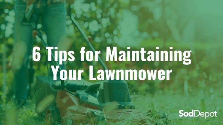6 Tips for Maintaining Your Lawnmower