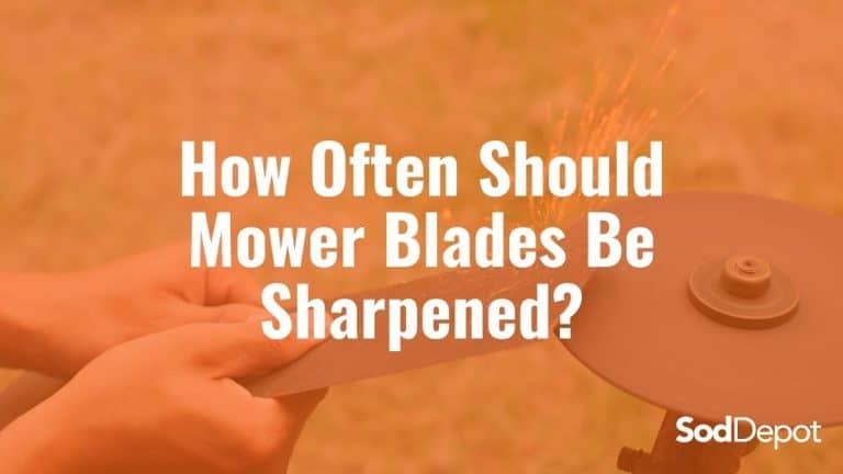 How Often Should Mower Blades Be Sharpened?