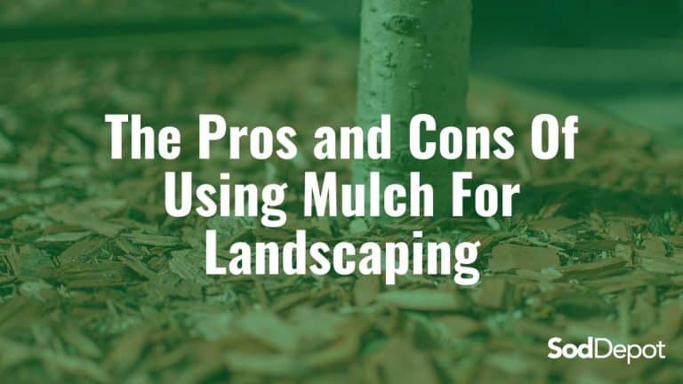 The Pros and Cons Of Using Mulch For Landscaping