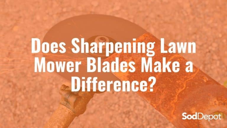 Does Sharpening Lawn Mower Blades Make a Difference?
