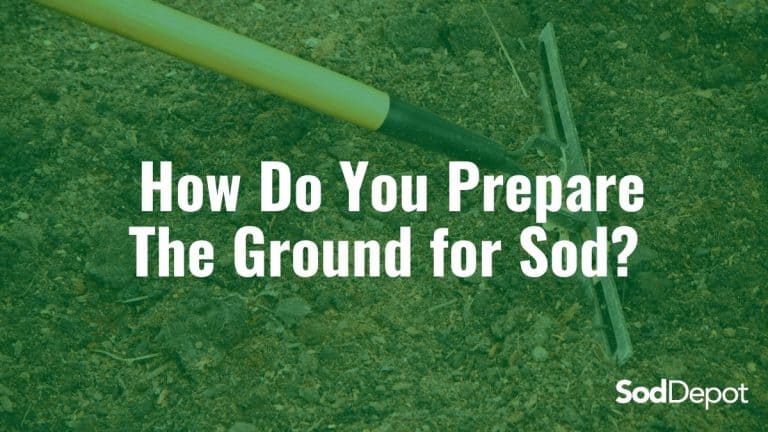 How Do You Prepare The Ground for Sod?