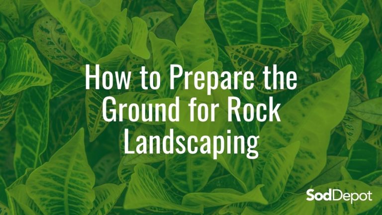 How to Prepare the Ground for Rock Landscaping