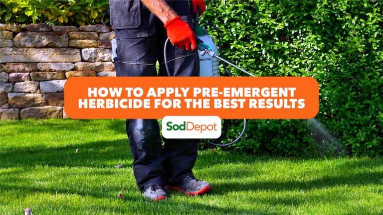 How To Apply Pre-Emergent Herbicide For The Best Results