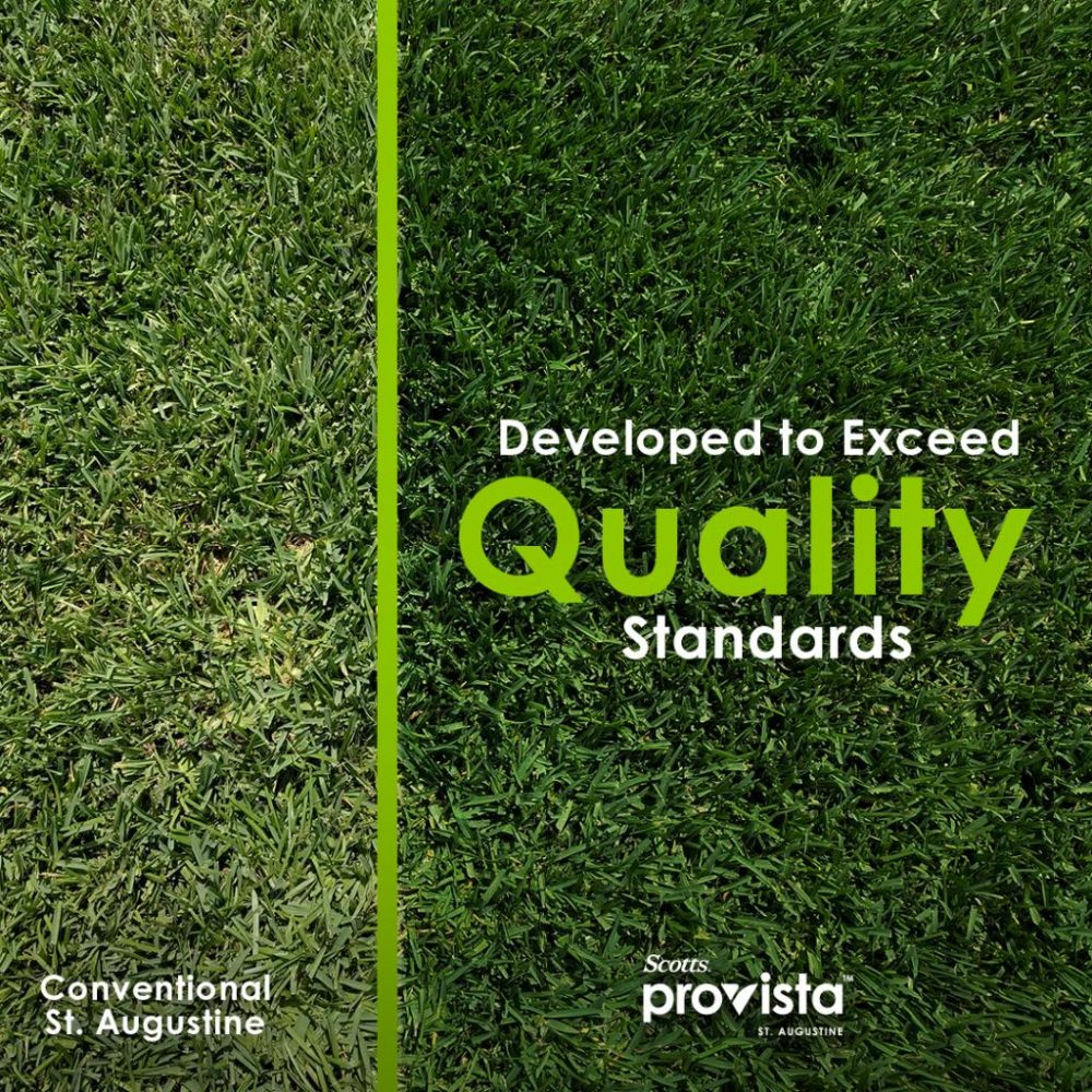 A green grass field with the words " developed to exceed quality standards ".